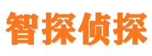 桦川侦探